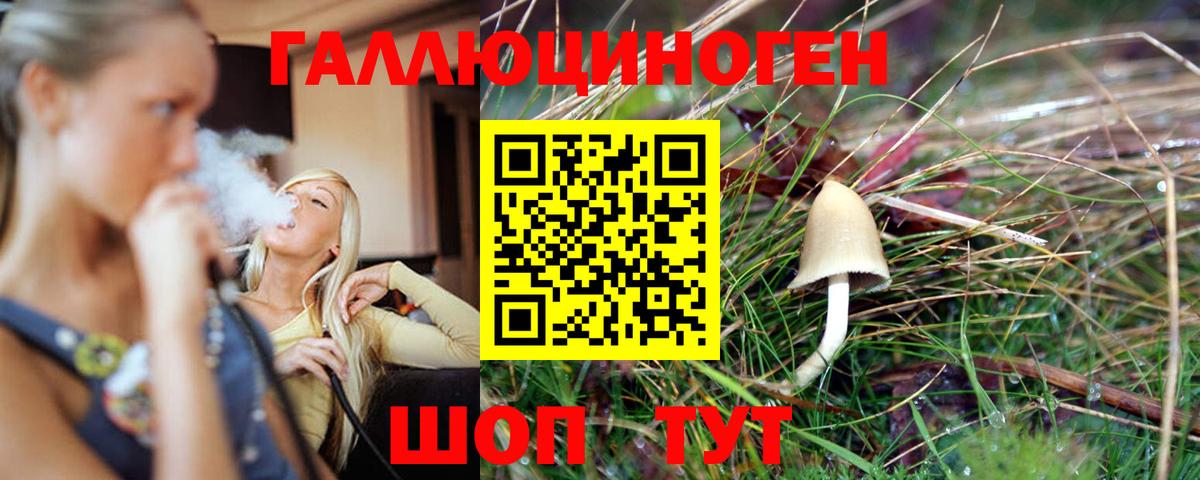 Псилоцибиновые грибы MAGIC MUSHROOMS  Вход с VPN  наркота  Троицк 